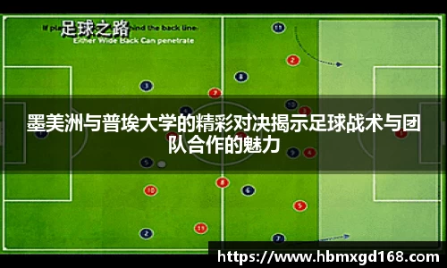 乐虎官方网站