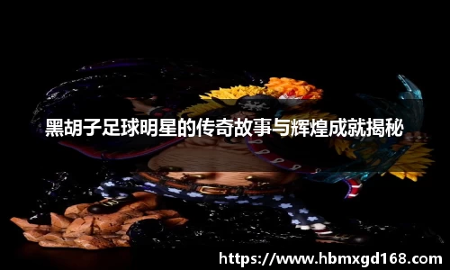 乐虎官方网站