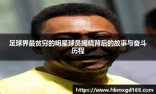 乐虎